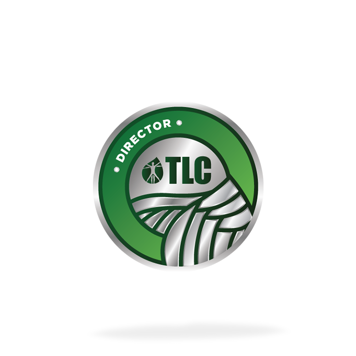 Pin de director